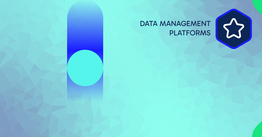 Data management platforms